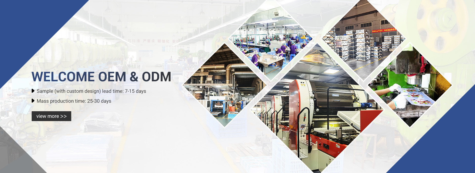 品質 ビスケットの缶 工場