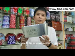 電流を通される楕円形は花園の装飾のための金属のつぼプランター鍋を亜鉛でメッキする